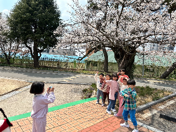 봄 꽃을 찾아서
