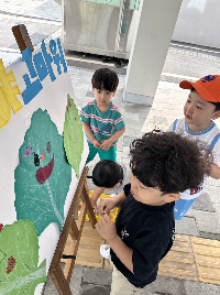6.26.(목) 상추데이