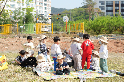 텃밭 모종 심기